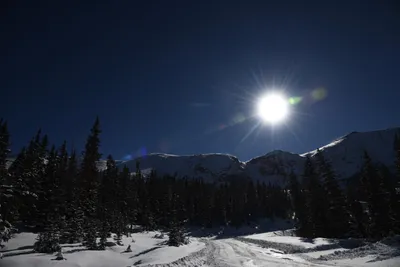 DSC_4943 (Large).JPG